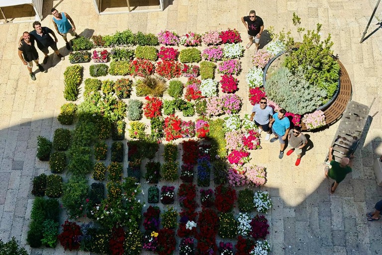 Terlizzi città dei fiori. <span>Foto Ufficio stampa Comune di Terlizzi </span>