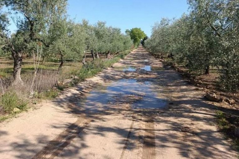 Strade rurali Terlizzi