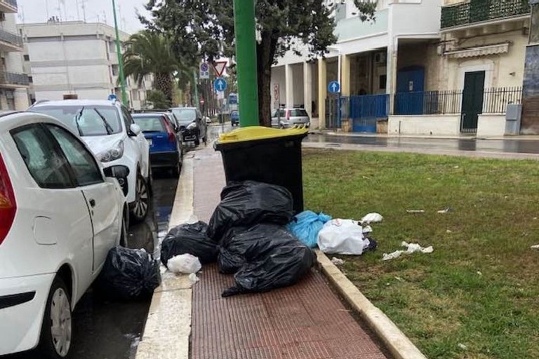 Rifiuti abbandonati in viale delle Mimose. <span>Foto Enzo Coviello </span>