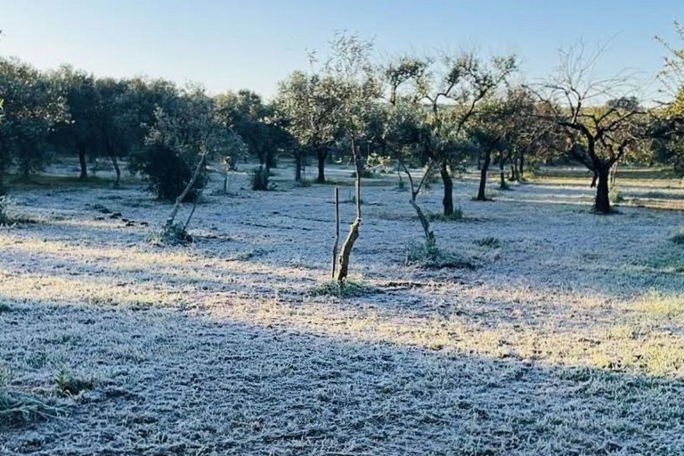 Gelate in campagna