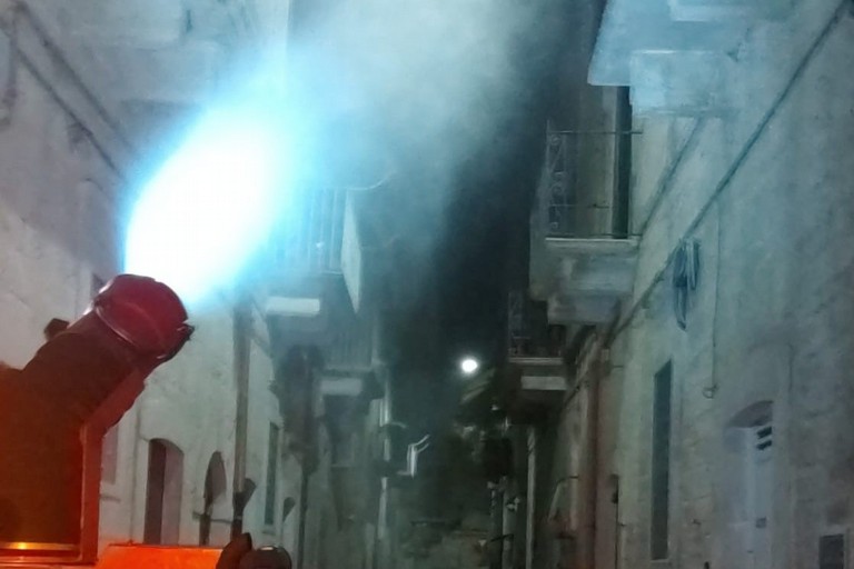 Disinfestazione a Terlizzi