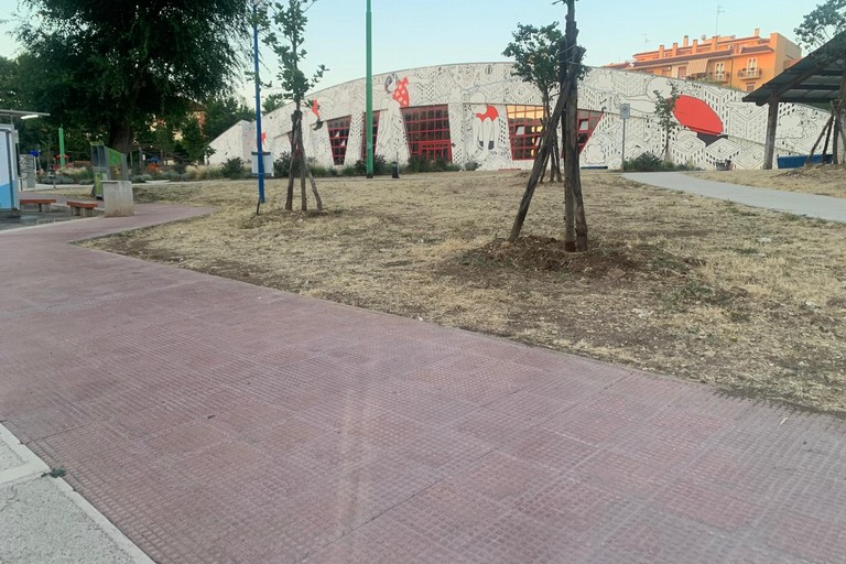 Aree verdi davanti al PalaFiori (foto Barione)