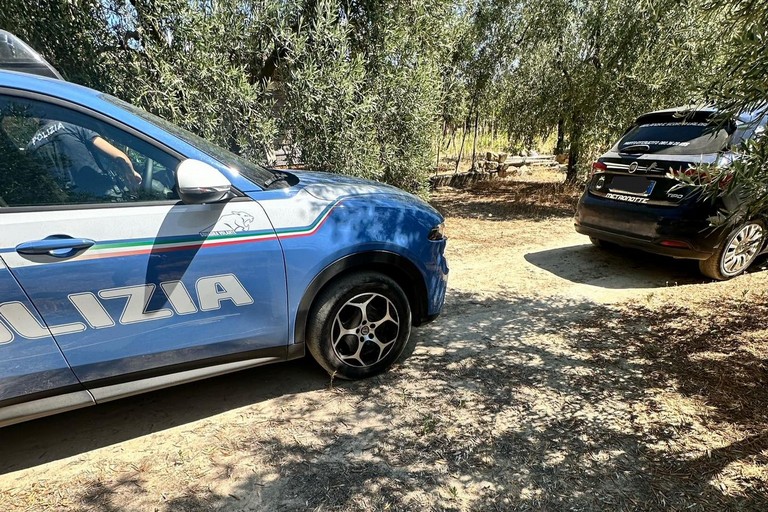 Metronotte e Polizia di Stato