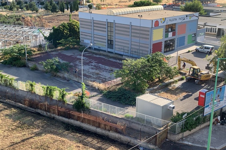 Costruzione asilo nido - espianto alberi. <span>Foto Puliamo Terlizzi </span>