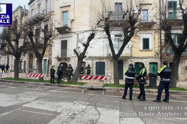 Pericolo per incolumità pubblica: tagliato albero su Corso Dante