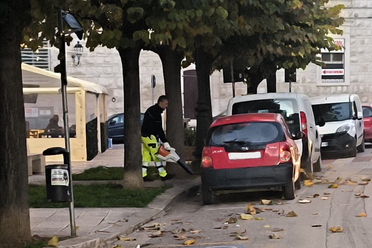 Operatore SANB con soffiatore