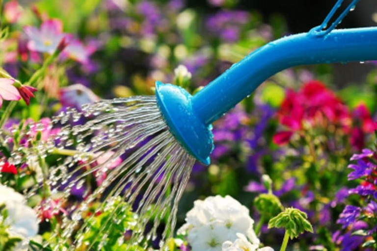 Irrigazione fiori