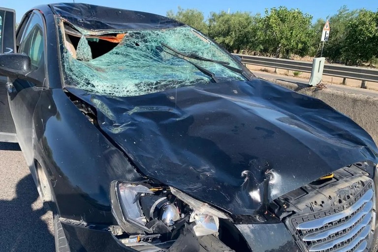 L'incidente stradale avvenuto sulla strada provinciale 231