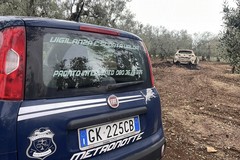 Auto rubate trovate incendiate nelle campagne di Terlizzi