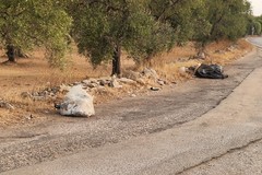 Una nuova discarica sulla provinciale tra Giovinazzo e Terlizzi