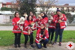 I Consigli della Croce Rossa Italiana per "non fare il botto"