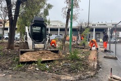 Ripresi i lavori in Largo Torino