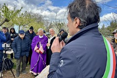 Nel ricordo di don Tonino: Terlizzi pianta mandorli a Ruvo di Puglia