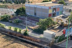 Lavori asilo nido, espiantati alberi. Insorge Puliamo Terlizzi