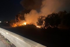 Giorni di fuoco a Terlizzi: due roghi in poche ore, sterpaglie in fiamme