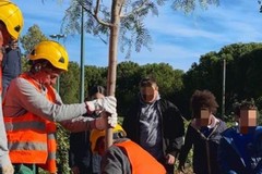 Terlizzi piange la prematura scomparsa del giardiniere Vito Marinelli