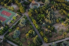 Incolumità pubblica, a Terlizzi via al piano di interventi sul verde