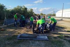 "Giornata Nazionale della Legalità", Puliamo Terlizzi impegnata nel Parco La Padula
