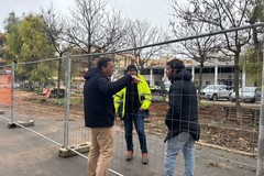 Erbacce in largo Torino, l'assessore Berardi risponde al consigliere Barione