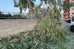 Tromba d'aria a Terlizzi, Minutillo ringrazia Polizia Locale e volontari