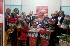 Successo per la raccolta fondi AIL: a Terlizzi vendute circa 300 Stelle di Natale