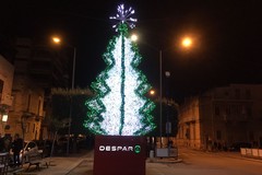 In viale Roma il grande albero di Natale Despar