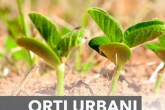 A Terlizzi orti urbani e giardini edibili in gestione alle associazioni