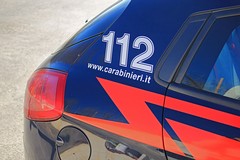 Piante di marijuana sul balcone. Arrestato e poi rimesso in libertà