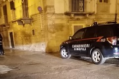 Attività antidroga dei Carabinieri nel centro storico
