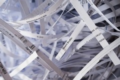 Paper week in Puglia: a Terlizzi le scuole in gara per il riciclo della carta