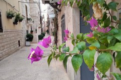 Nel centro storico di Terlizzi in arrivo fioriere in ceramica e piante fiorite