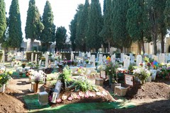 Festa della Repubblica, chiuso il cimitero di Terlizzi