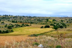 Terlizzi entra a far parte del Bio-distretto delle Lame