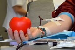 Lunedì 20 settembre raccolta sangue a cura dell'Avis Terlizzi