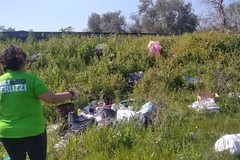 Doppio intervento dei volontari di Puliamo Terlizzi