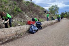 Terlizzi, cumulo di rifiuti raccolti a poche centinaia di metri da Sovereto