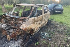 Auto cannibalizzata e data alle fiamme: la scoperta della Metronotte