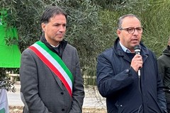 Il Comune di Terlizzi partecipa al World Cleanup Day