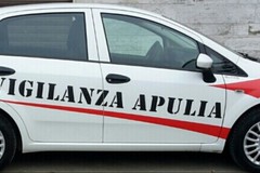 Tentano di entrare in una villa in viale del Lilium: interviene la Vigilanza Apulia