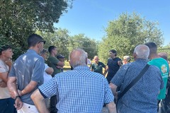 Furti Pozzo Lioy, l'amministrazione De Chirico ha incontrato gli agricoltori