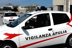 Tentano di svaligiare una villa: ladri messi in fuga dalla vigilanza Apulia
