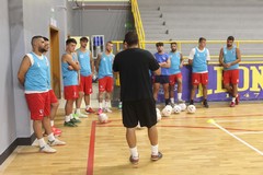 È il giorno della presentazione del Futsal Terlizzi