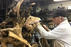 “Volevo Piantare Semi”, in mostra a Terlizzi le opere di Gioacchino D'Elia