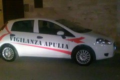 La Vigilanza Apulia sventa un furto lungo la complanare della 231