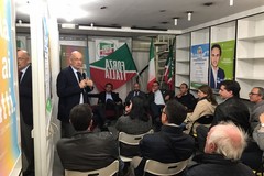 Vitali e Sisto: «Inaccettabile esclusione Forza Italia dalla giunta Gemmato»