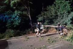 Grosso albero sulla sede stradale: lievi danni ad un'auto di passaggio