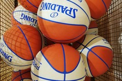 La Federazione Italiana Pallacanestro dichiara conclusi i campionati regionali 2019-20