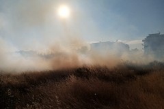 Incendio in via Chicoli: intervegono Polizia Locale e Vigili del Fuoco (VIDEO e FOTO)