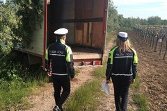 Recuperati due camion rubati: erano nascosti nell'agro di Terlizzi