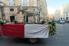 Festa del ciuccio a Terlizzi: tutte le foto
